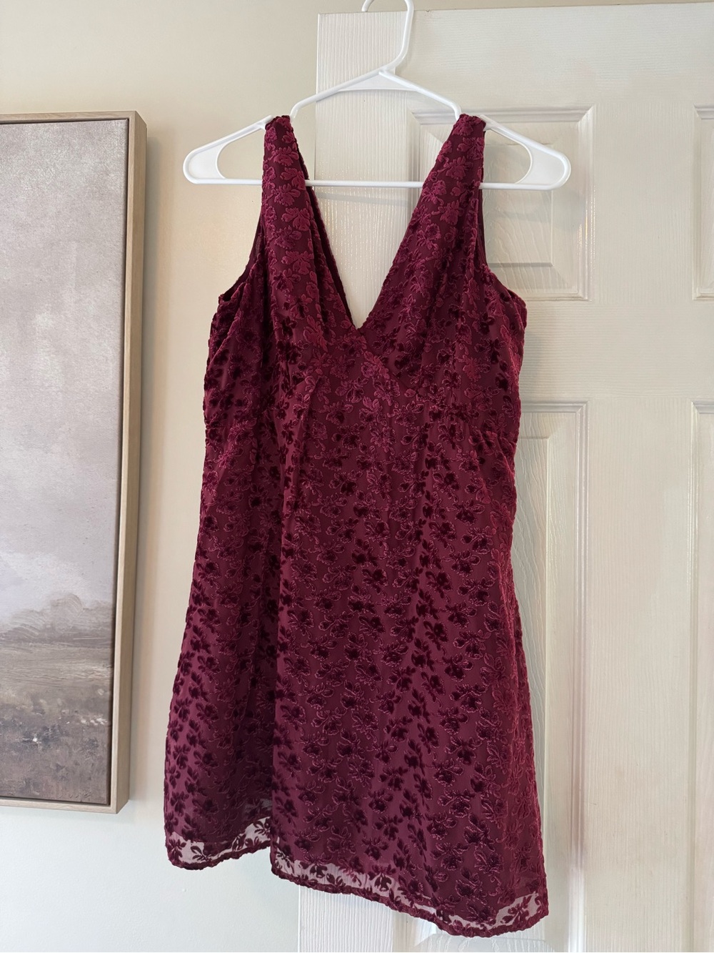 GAP Women's V-Neck Burgundy Floral Velvet Dress